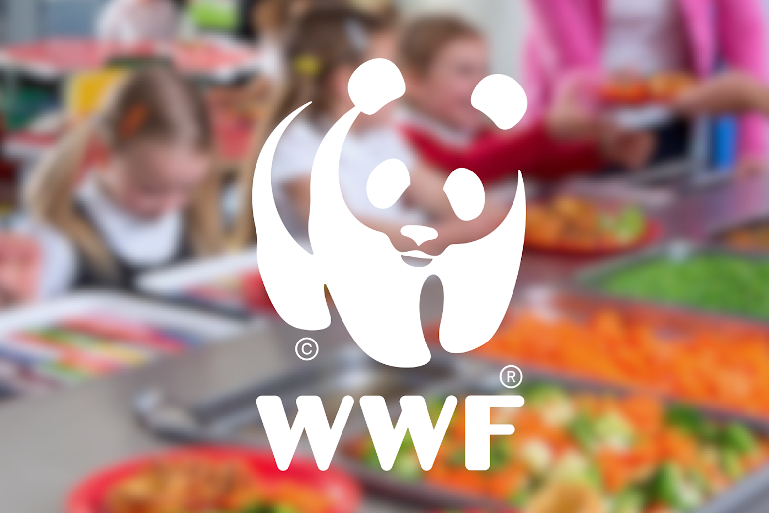 https://www.vdskc.de/wp-content/uploads/2022/12/WWF_Kommentar.png