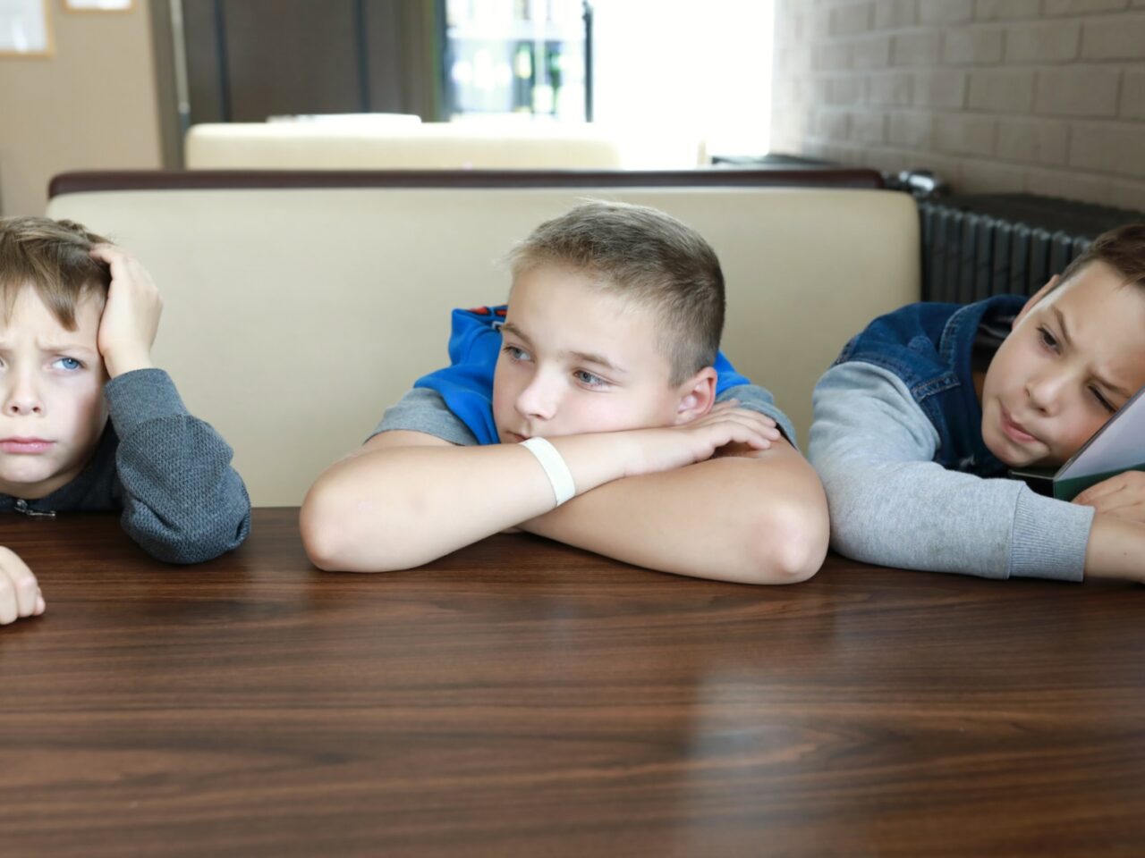 Berliner Debatte über kostenfreies Schulessen neu entfacht